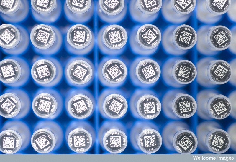 Test tubes labelled with 2-D barcodes at UK Biobank, Cheshire, a project which stores and protects a vast bank of medical data and material from volunteers.